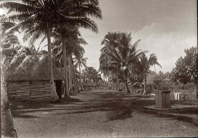 samoa573a.jpg