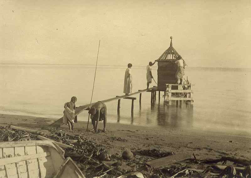 samoa861.jpg