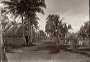samoa573a